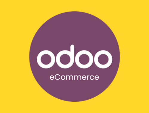 Intégrer Odoo à son e-commerce