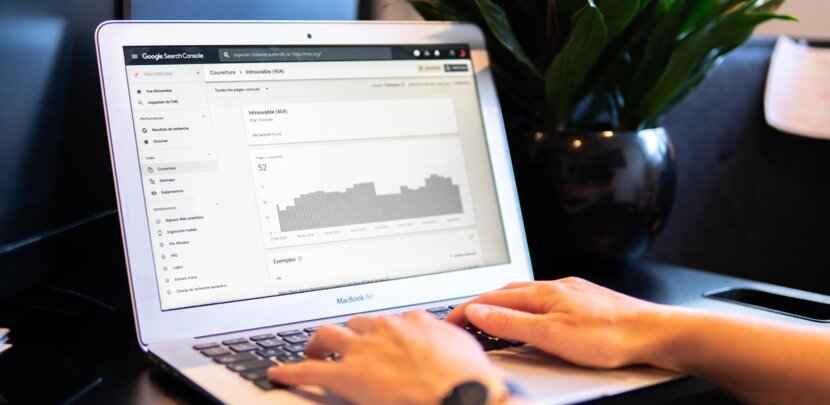 formation SEO